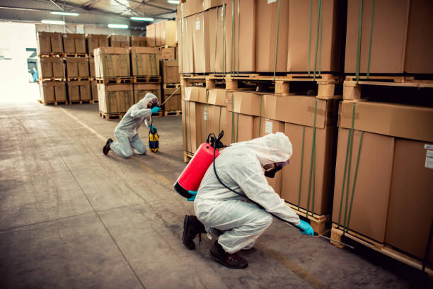 Best Termite Control Services  in Beach City, TX