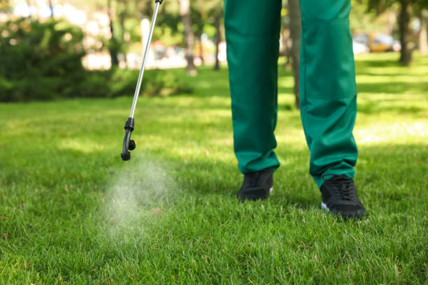 Best Mosquito Control Services  in Beach City, TX