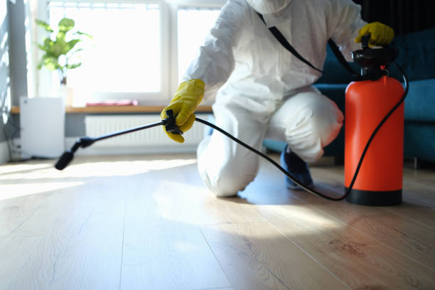 Best Best Pest Control Companies  in Beach City, TX