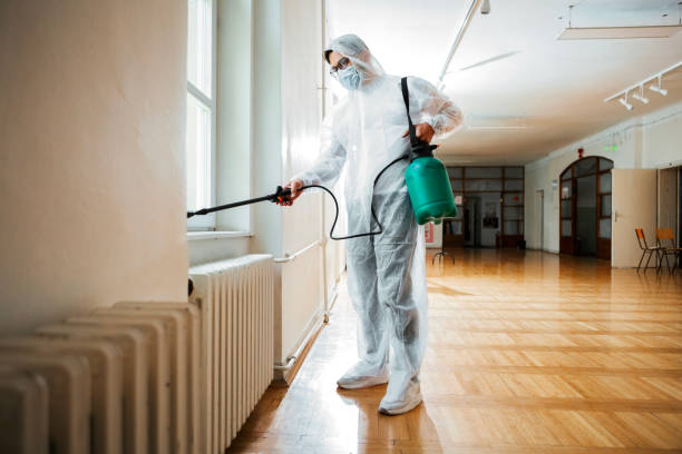 Best Local Pest Control Services  in Beach City, TX